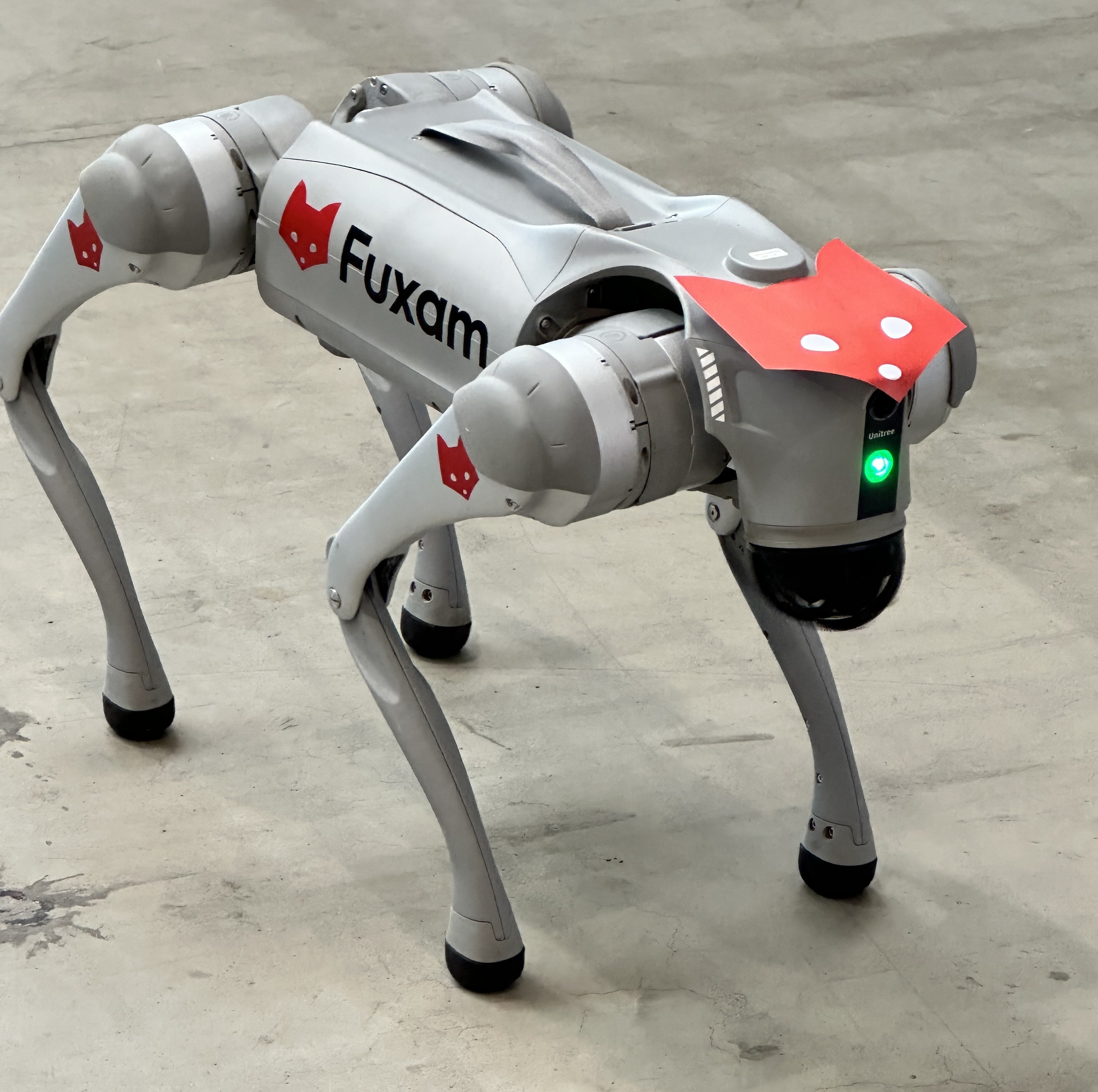 Fuxam-Dog